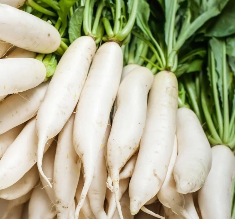 TURP ÇİN BEYAZ ( ÇOKLU TOHUM ) - 5 Gram - MegCiTo