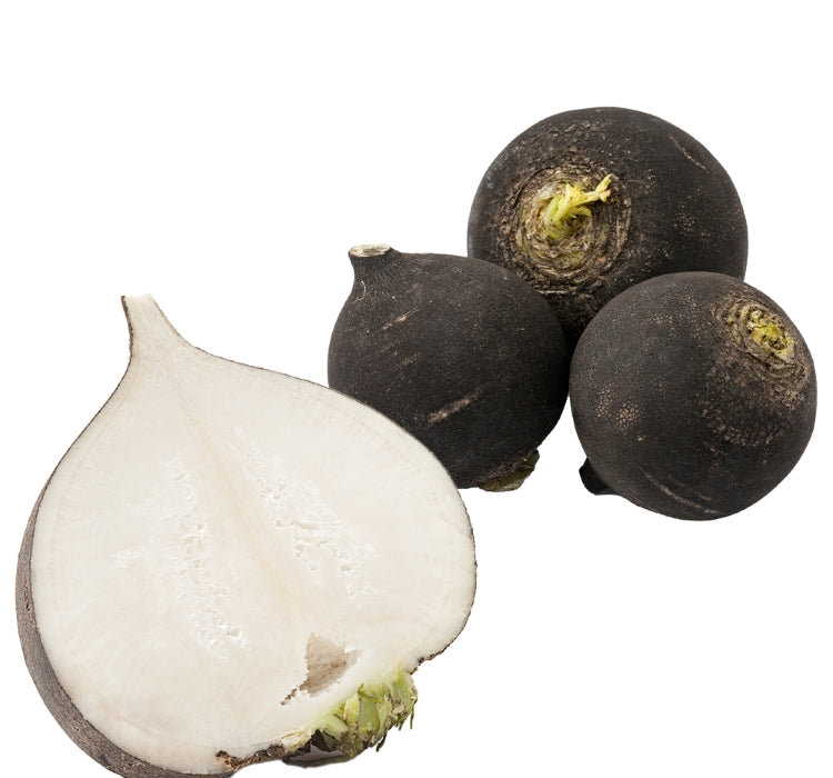 TURP SİYAH ( ÇOKLU TOHUM ) - 5 Gram - MegCiTo