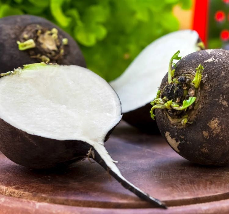 TURP SİYAH ( ÇOKLU TOHUM ) - 5 Gram - MegCiTo