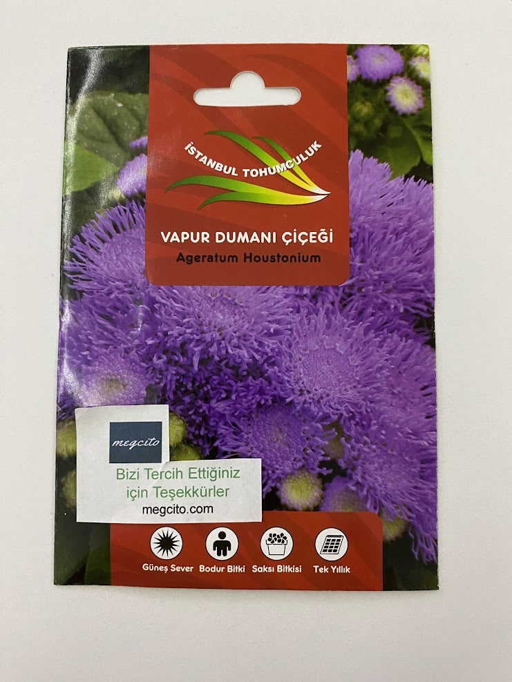 VAPUR DUMANI ( ÇOKLU TOHUM ) - 150 Tohum - KARIŞIK Renk - MegCiTo