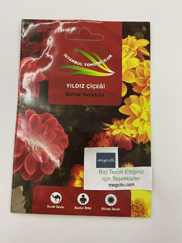 YILDIZ ÇİÇEĞİ ( ÇOKLU TOHUM ) - 100 Tohum - KARIŞIK Renk - MegCiTo