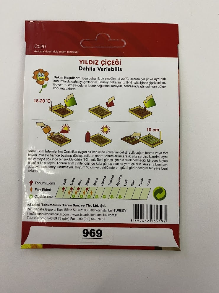 YILDIZ ÇİÇEĞİ ( ÇOKLU TOHUM ) - 100 Tohum - KARIŞIK Renk - MegCiTo