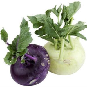KOLHRABI ALABAŞ ( ÇOKLU TOHUM ) - 2 Gram