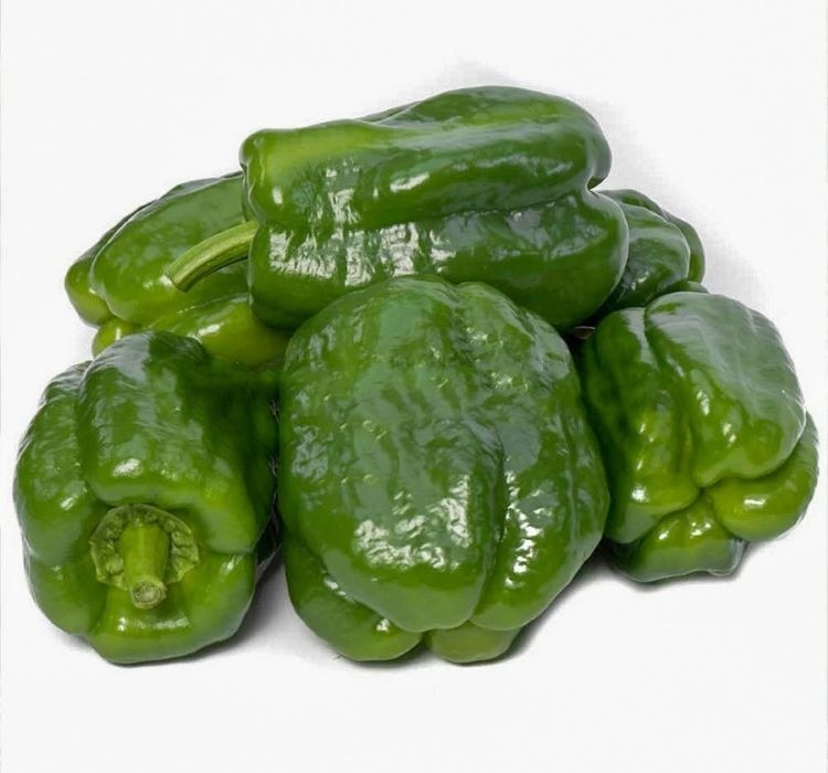 DOLMALIK BİBER ANTEP ACI ( ÇOKLU TOHUM ) – Tohum ekimi, Bakımı ve Faydaları