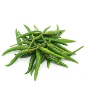 Biber süs aşagıbakan tohumu bakımı