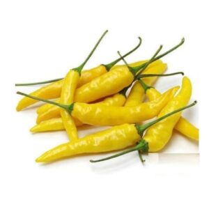 BİBER SÜS SARI ( ÇOKLU TOHUM ) - 3 Gram