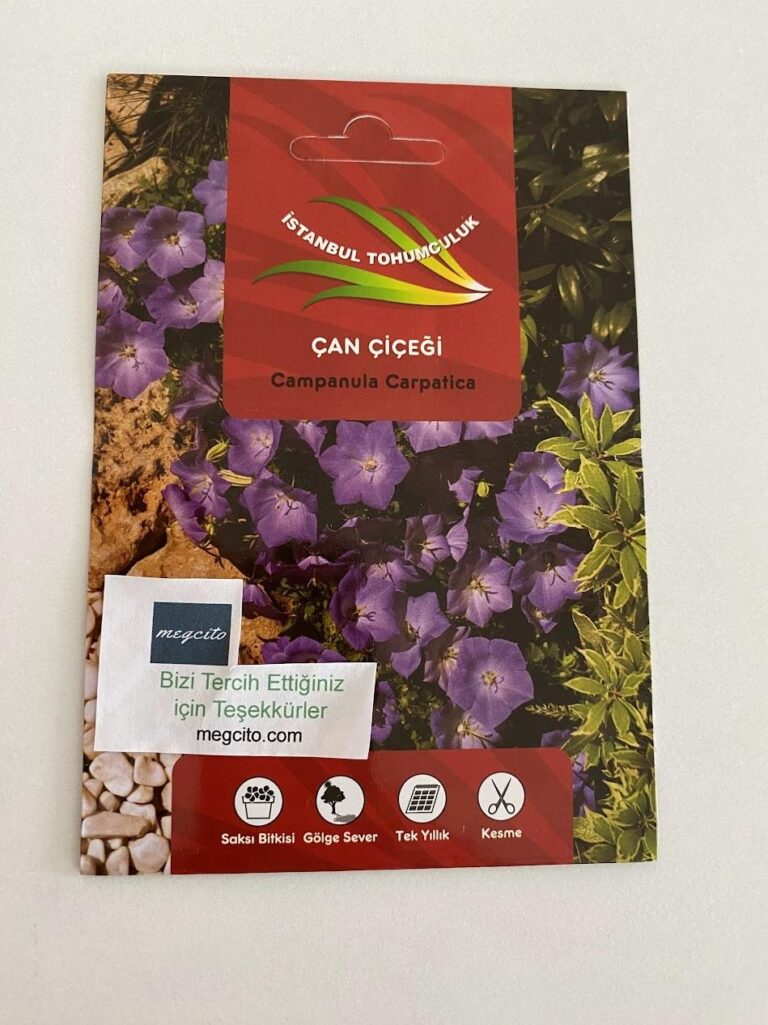 Çan çiçeği tohumları nasıl ekilir - 2