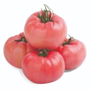 DOMATES PEMBE ( ÇOKLU TOHUM ) - 100 Adet