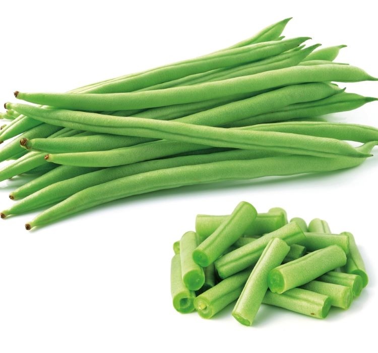 FASULYE MAGNUM OTURAK ( ÇOKLU TOHUM ) – Yetiştirme, Bakım ve Sulama İpuçları Fasulye tohumu ekimi ve bakımı