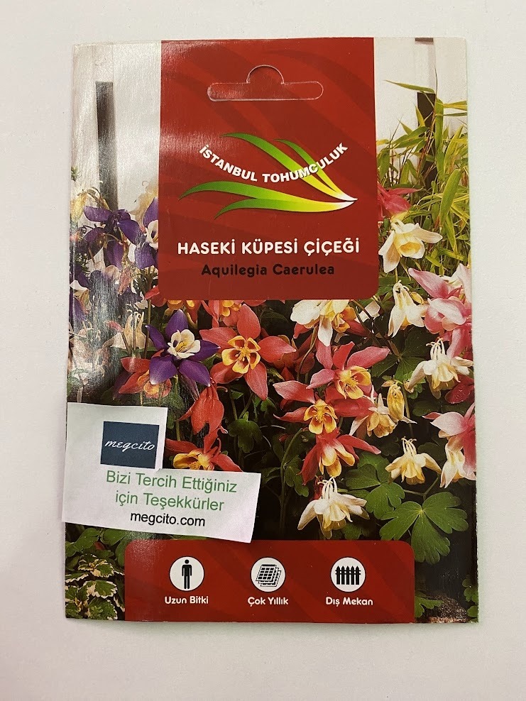 Haseki Küpesi tohumları - 2