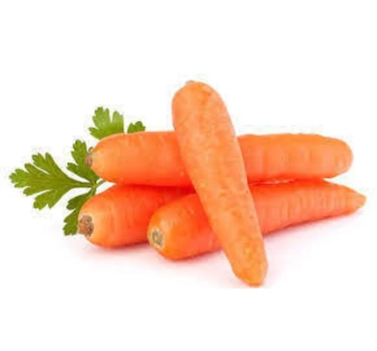 HAVUÇ ( ÇOKLU TOHUM ) – Nasıl Yetiştirilir? Bakım ve Özellikleri Havuç tohumları nasıl ekilir