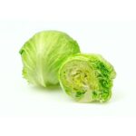 MARUL İCEBERG ( ÇOKLU TOHUM ) - 3 Gram