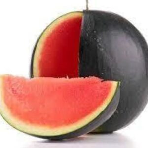 KARPUZ HALEP KARASI ( ÇOKLU TOHUM ) - 10 Gram