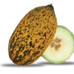 KAVUN KIRKAĞAÇ ( ÇOKLU TOHUM ) - 5 Gram