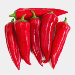 BİBER MARAŞ  ( ÇOKLU TOHUM ) - 5 Gram