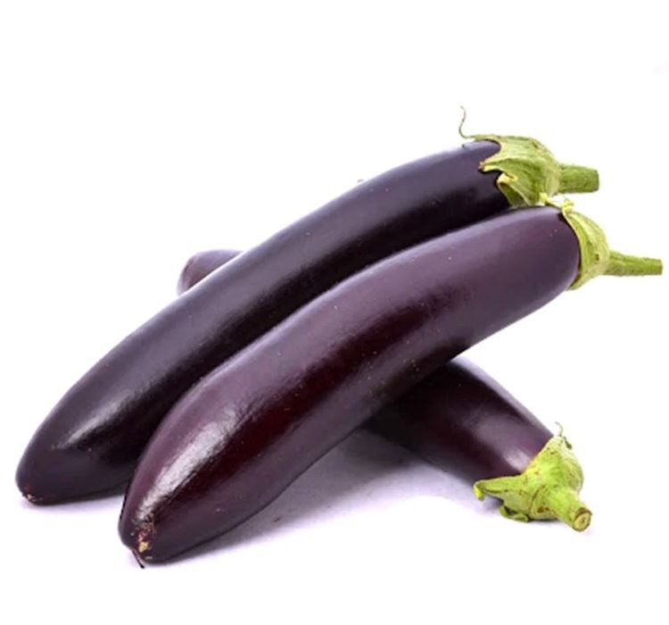 Patlıcan kemer tohumları yetiştirme ve bakımı