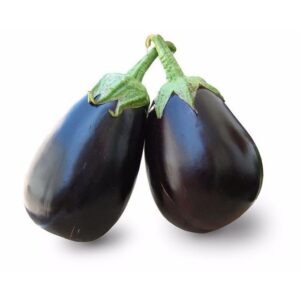 PATLICAN TOPAN  ( ÇOKLU TOHUM ) - 5 Gram