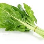 PAZI SARMALIK ( ÇOKLU TOHUM ) - 10 Gram