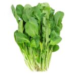ROKA GENİŞ YAPRAK ( ÇOKLU TOHUM ) - 10 Gram