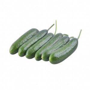 SALATALIK BEITH ALPHA ( ÇOKLU TOHUM ) - 5 Gram