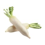 TURP ÇİN BEYAZ ( ÇOKLU TOHUM ) - 5 Gram