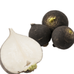TURP SİYAH ( ÇOKLU TOHUM ) - 5 Gram