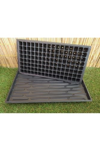 3 Adet 128 Göz Fide Viyolü + 3 Adet Fide Viyolü Tepsisi Fide Viyol Fide Viyolleri Viyol Altlığı gri – MegCiTo