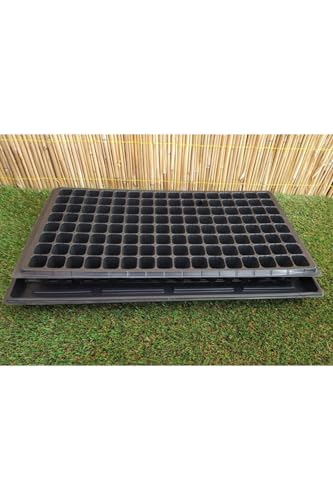 3 Adet 128 Göz Fide Viyolü + 3 Adet Fide Viyolü Tepsisi Fide Viyol Fide Viyolleri Viyol Altlığı gri – MegCiTo