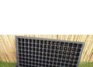 3 Adet 128 Göz Fide Viyolü + 3 Adet Fide Viyolü Tepsisi Fide Viyol Fide Viyolleri Viyol Altlığı gri – Nasıl Yetiştirilir? Bakım ve Özellikleri 3 Adet 128 Göz Fide Viyolü + 3 Adet Fide Viyolü Tepsisi Fide Viyol Fide Viyolleri Viyol Altlığı gri – MegCiTo