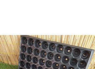 3 Adet 45 Göz Fide Viyolü + 3 Adet Fide Viyolü Tepsisi Fide Viyol Fide Viyolleri Viyol Altlığı gri – MegCiTo İncelemesi ve Detaylı Bilgiler 3 Adet 45 Göz Fide Viyolü + 3 Adet Fide Viyolü Tepsisi Fide Viyol Fide Viyolleri Viyol Altlığı gri – MegCiTo